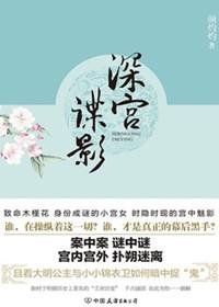 深宫谍影电影