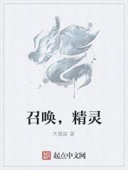 召唤精灵一起战斗的套装