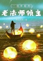 一位年轻的老法师领主精校版
