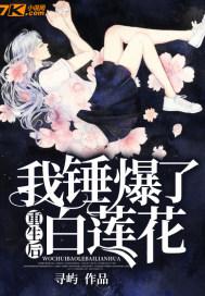 重生后我成了锤修