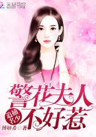 警花追逃犯十年是什么电视剧