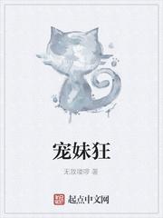 宠妹狂魔动画
